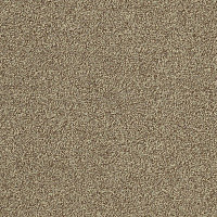 Ковровая плитка Interface Biosfera Boucle 7879 Occhio di Tigre фото 1 | FLOORDEALER